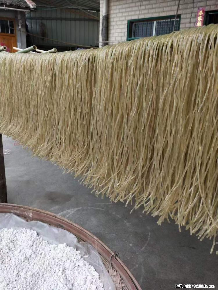 【灌阳正宗红薯粉】美女家里自己做的,干净卫生,假一赔十,价格合理,抢购电话:13737312895 - 美食天地 - 温州生活社区 - 温州28生活网 wz.28life.com