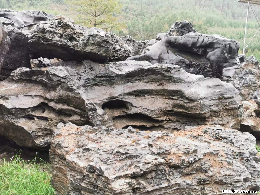 风景石、假山石大量有货,有需要的欢迎联系 - 新手上路 - 温州生活社区 - 温州28生活网 wz.28life.com