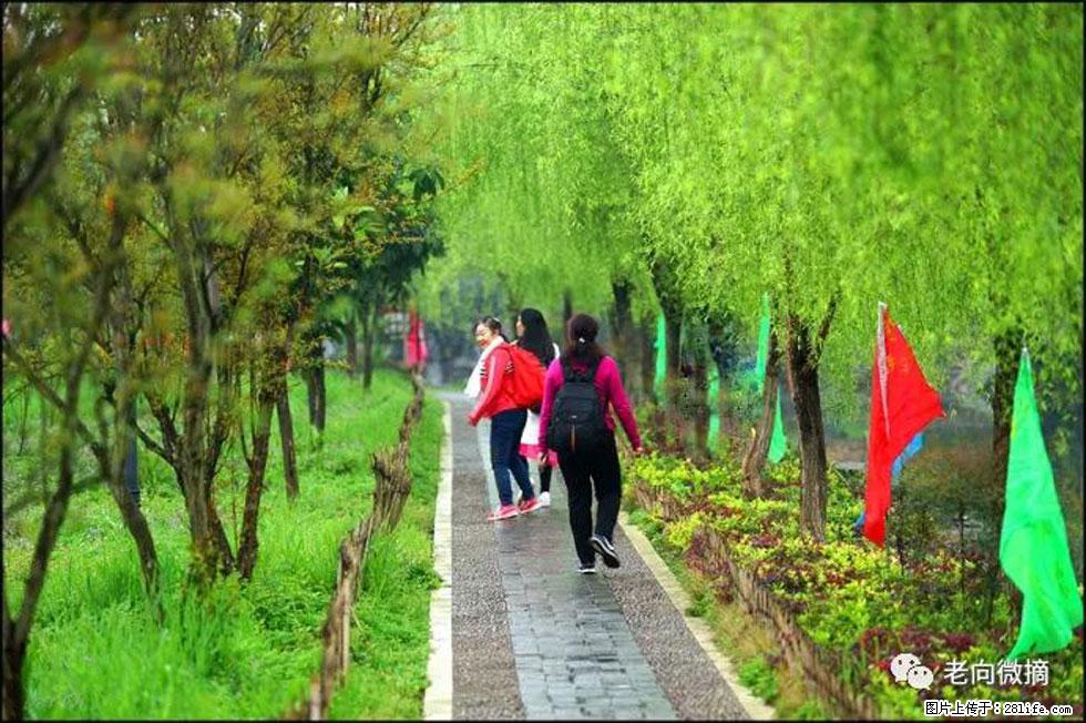 【春天,广西桂林灌阳县向您发出邀请!】江口老街又逢春 - 游山玩水 - 温州生活社区 - 温州28生活网 wz.28life.com