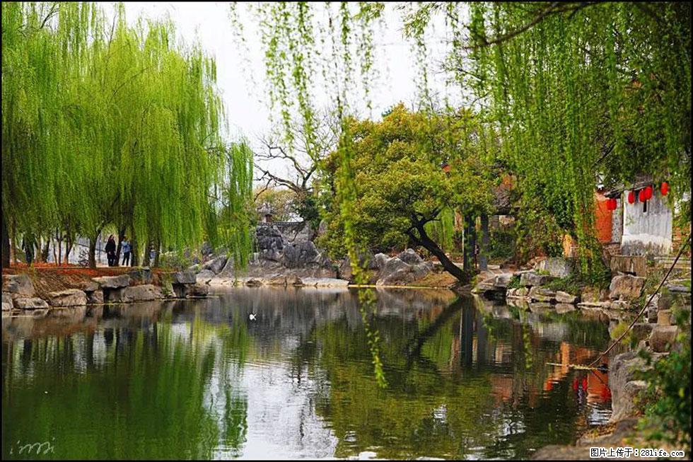 【春天,广西桂林灌阳县向您发出邀请!】江口老街又逢春 - 游山玩水 - 温州生活社区 - 温州28生活网 wz.28life.com