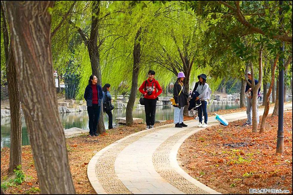 【春天,广西桂林灌阳县向您发出邀请!】江口老街又逢春 - 游山玩水 - 温州生活社区 - 温州28生活网 wz.28life.com