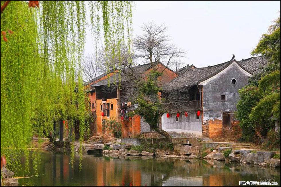 【春天,广西桂林灌阳县向您发出邀请!】江口老街又逢春 - 游山玩水 - 温州生活社区 - 温州28生活网 wz.28life.com