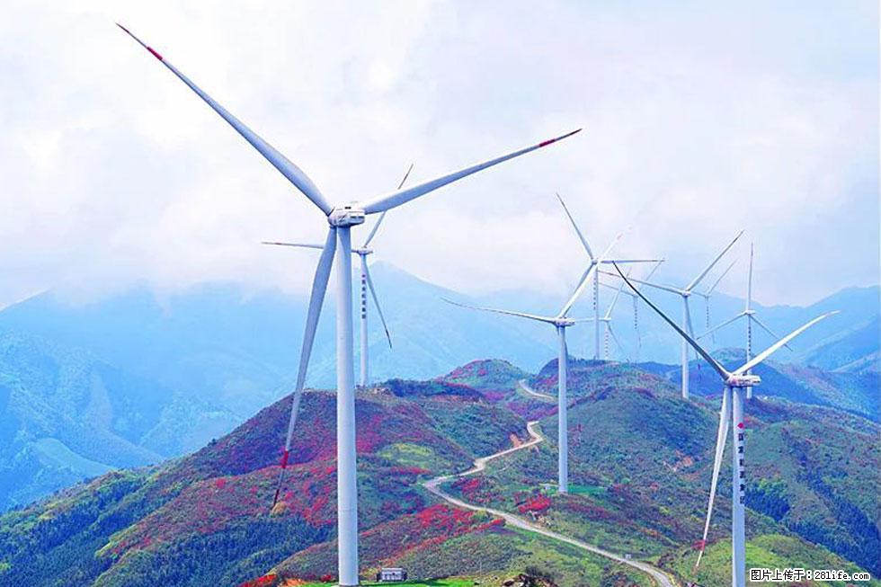 【春天,广西桂林灌阳县向您发出邀请!】春木界上映山红 - 游山玩水 - 温州生活社区 - 温州28生活网 wz.28life.com