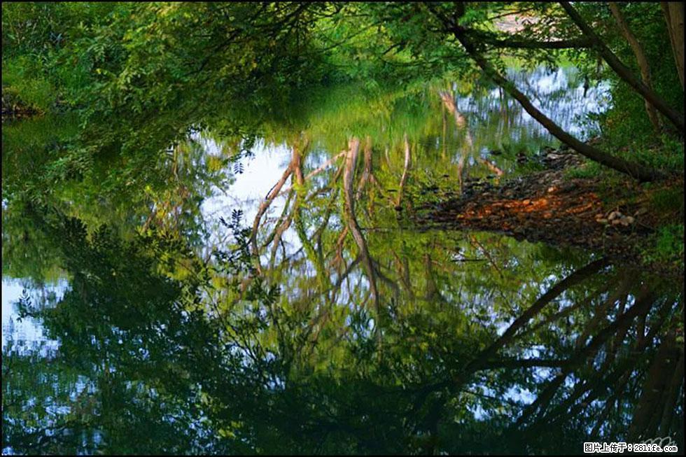 【春天,广西桂林灌阳县向您发出邀请!】熊家寨湿地公园 - 游山玩水 - 温州生活社区 - 温州28生活网 wz.28life.com