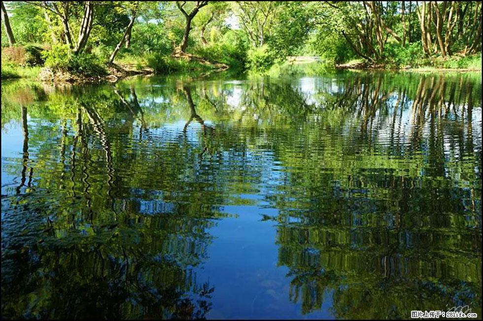 【春天,广西桂林灌阳县向您发出邀请!】熊家寨湿地公园 - 游山玩水 - 温州生活社区 - 温州28生活网 wz.28life.com