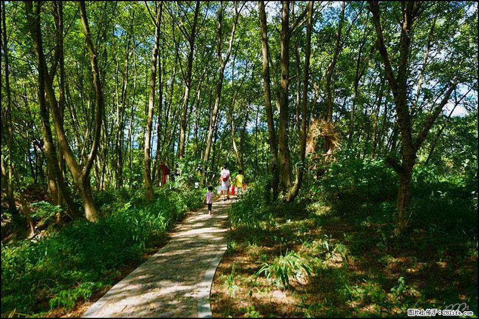 【春天,广西桂林灌阳县向您发出邀请!】熊家寨湿地公园 - 游山玩水 - 温州生活社区 - 温州28生活网 wz.28life.com