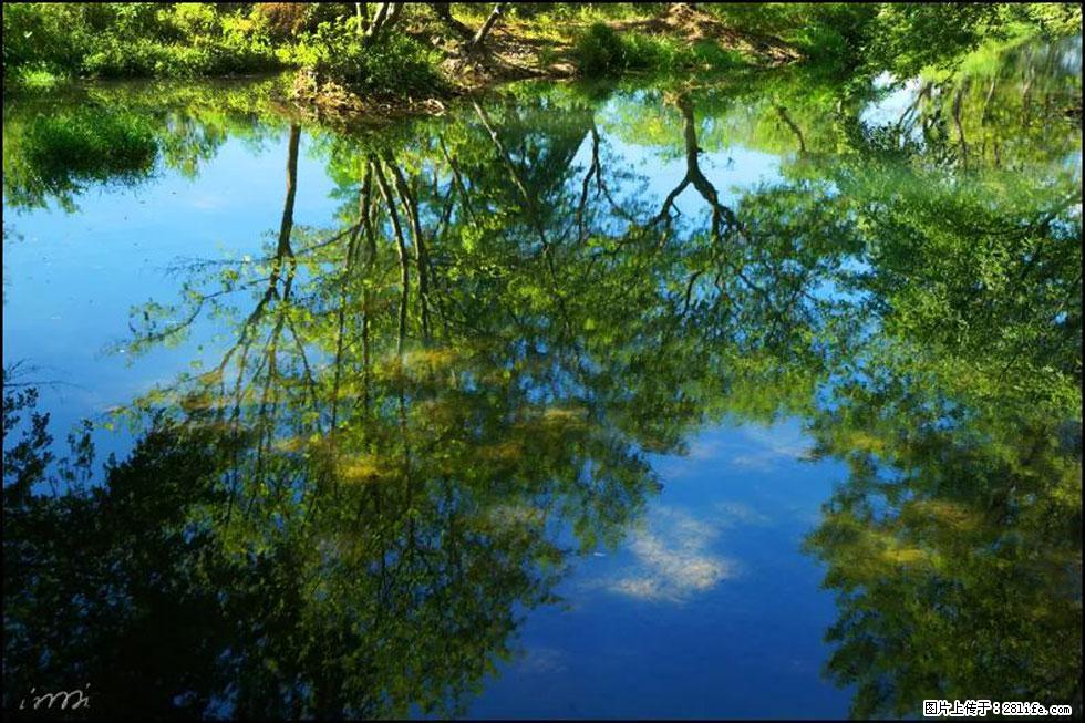 【春天,广西桂林灌阳县向您发出邀请!】熊家寨湿地公园 - 游山玩水 - 温州生活社区 - 温州28生活网 wz.28life.com