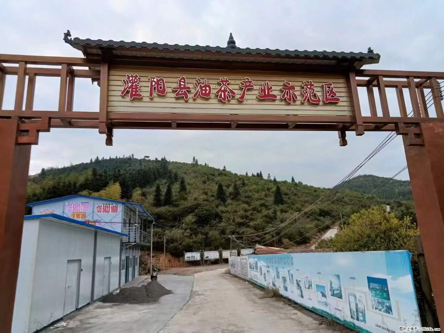 【灌阳县油茶产业示范区】一个有着充实的精神生活的人,对待身外之物自会有一种淡泊的态度 - 美食天地 - 温州生活社区 - 温州28生活网 wz.28life.com