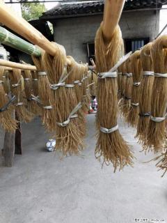 【灌阳正宗红薯粉】美女家里自己做的,干净卫生,假一赔十,价格合理,抢购电话:13737312895 - 温州28生活网 wz.28life.com