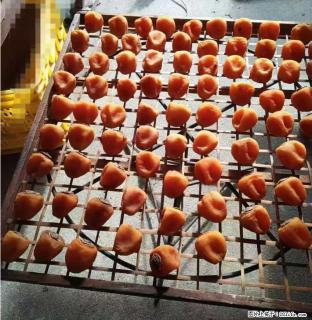 广西桂林平乐桥亭【柿饼之乡】2025年纯手工制作、无任何添加剂的第一批柿饼准备上市了，欢迎联系订购！ - 温州28生活网 wz.28life.com