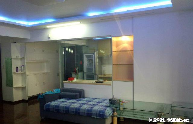 新田园六组团精装修拎包入住 - 房屋出租 - 房屋租售 - 温州分类信息 - 温州28生活网 wz.28life.com