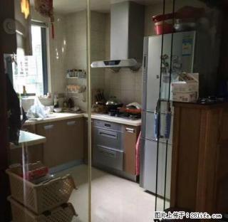 新田园精装14楼拎包入住，租房紧缺下手要快 - 温州28生活网 wz.28life.com