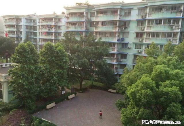 交通方便，楼层好，重要的是租金实费，看房有钥匙。 - 房屋出租 - 房屋租售 - 温州分类信息 - 温州28生活网 wz.28life.com