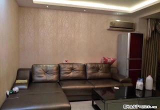 西城路江滨路月湖小区旁边3室1厅精装修家具家电齐全拎包入住 - 温州28生活网 wz.28life.com