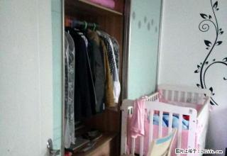 清爽大户型,齐全家私,上村小区 3600元 2室1厅1卫 精 - 温州28生活网 wz.28life.com