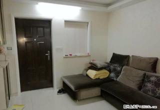 新田园精装两室 房东自住装修 没有性价比更好的 - 温州28生活网 wz.28life.com