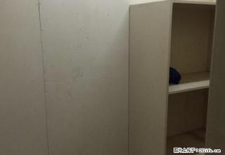 新城金城花园清爽装修 三房朝南 东边间家具家电齐全 - 温州28生活网 wz.28life.com