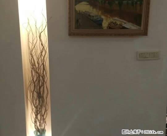 洪殿洪福路附近 楼层好 精装修 家电齐全 租金4000 - 房屋出租 - 房屋租售 - 温州分类信息 - 温州28生活网 wz.28life.com