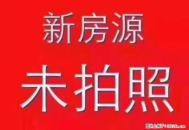 《巨信地产》荣新路小区好房出租有五个房间做员工宿舍 - 房屋出租 - 房屋租售 - 温州分类信息 - 温州28生活网 wz.28life.com
