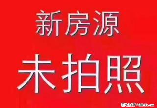 《巨信地产》荣新路小区好房出租有五个房间做员工宿舍 - 温州28生活网 wz.28life.com