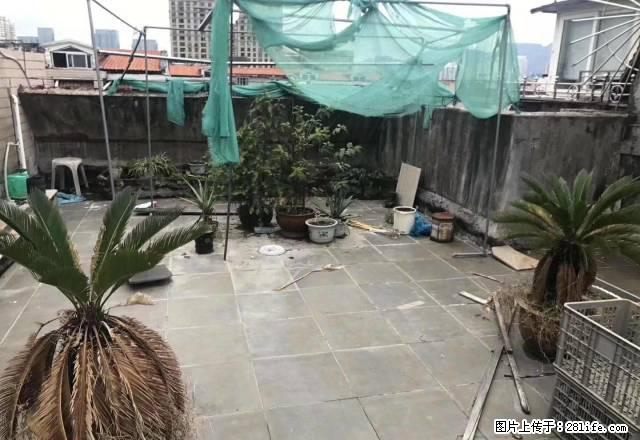 时代广场对面3室清爽装修仅租3000月 - 房屋出租 - 房屋租售 - 温州分类信息 - 温州28生活网 wz.28life.com