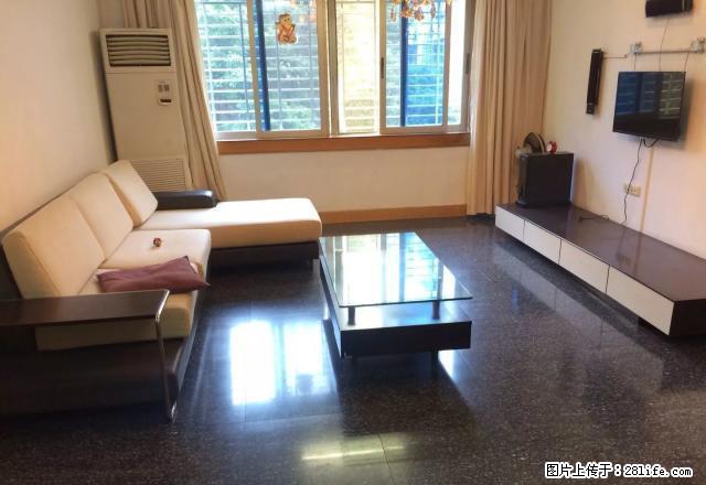 水心桦临近河边 双朝南 三室两厅 3楼 小区环境好 交通方便 - 房屋出租 - 房屋租售 - 温州分类信息 - 温州28生活网 wz.28life.com