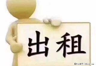 出租龙湾片区好地段精装修公寓若干间可烧饭性价比高格局好 - 温州28生活网 wz.28life.com