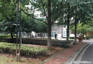 金汇昌精装出租4室2厅3卫只租6000 - 温州28生活网 wz.28life.com