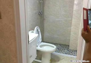 出租，采光好，清爽，豪华装修直接拎包入住， - 温州28生活网 wz.28life.com