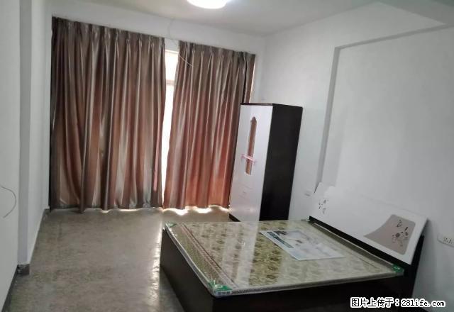 (单间出租)房东直接出租滨海六路附近单身公寓 - 房屋出租 - 房屋租售 - 温州分类信息 - 温州28生活网 wz.28life.com