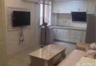 南塘街南塘五组团一室一厅一厨一卫全新豪华装修拎包入住 - 温州28生活网 wz.28life.com