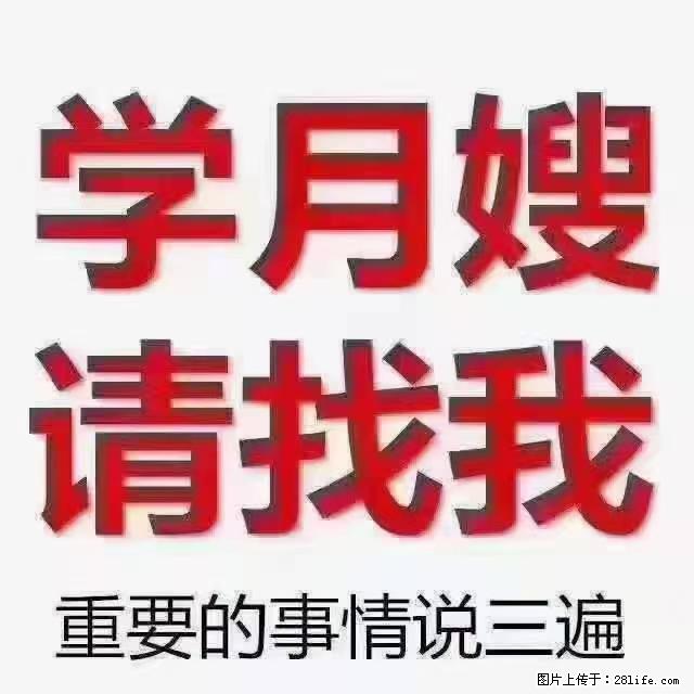 【招聘】月嫂,上海徐汇区 - 职场交流 - 温州生活社区 - 温州28生活网 wz.28life.com