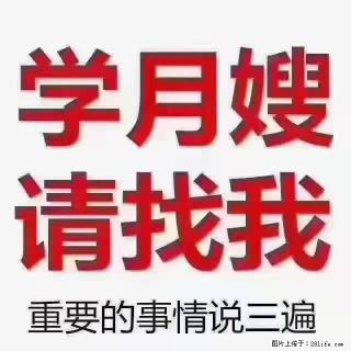【招聘】月嫂，上海徐汇区 - 温州28生活网 wz.28life.com
