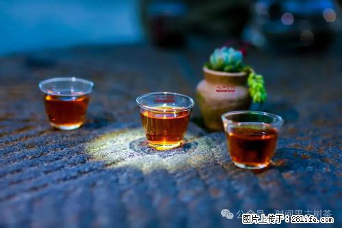 时间果百年古树2025年春红茶 - 购物交流 - 温州生活社区 - 温州28生活网 wz.28life.com