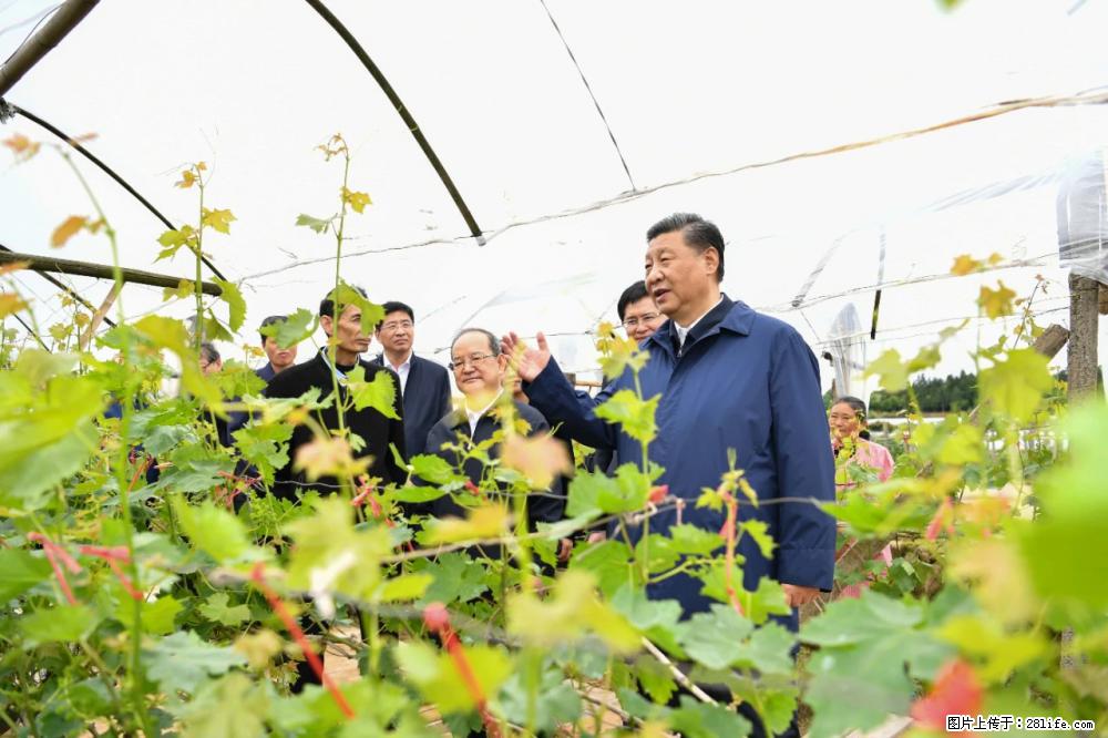 习近平赴广西考察调研 - 温州生活资讯 - 温州28生活网 wz.28life.com