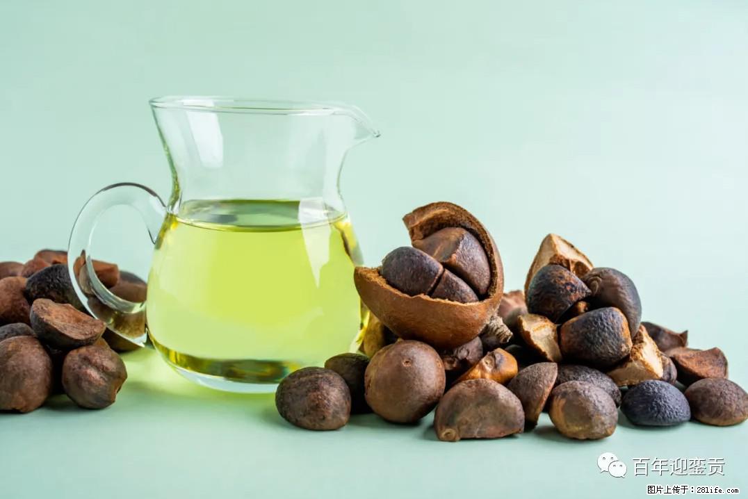 世界没有真相,只有认知,最好的食用油是中国的山茶油! - 温州生活资讯 - 温州28生活网 wz.28life.com