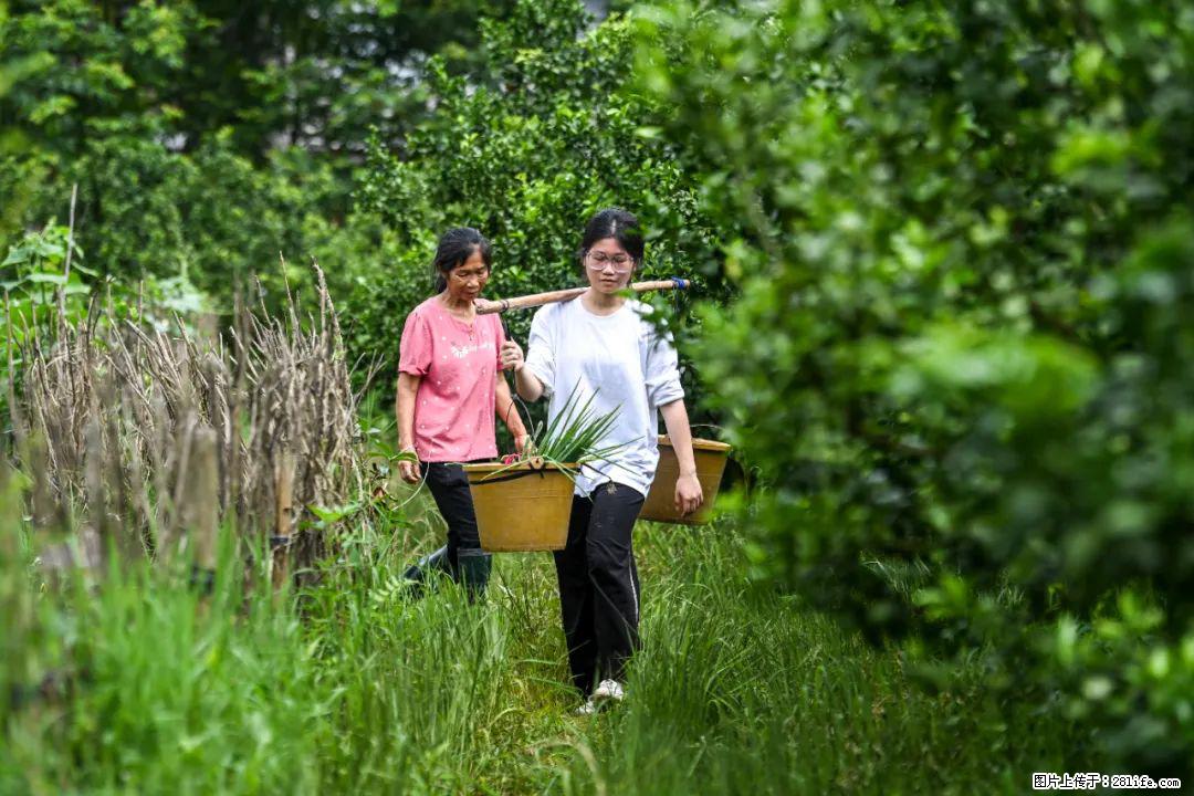 全网追的“扁担女孩”，找了一份暑假工，时薪12元 - 温州生活资讯 - 温州28生活网 wz.28life.com