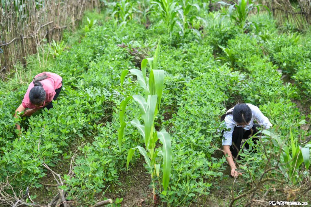 全网追的“扁担女孩”，找了一份暑假工，时薪12元 - 温州生活资讯 - 温州28生活网 wz.28life.com