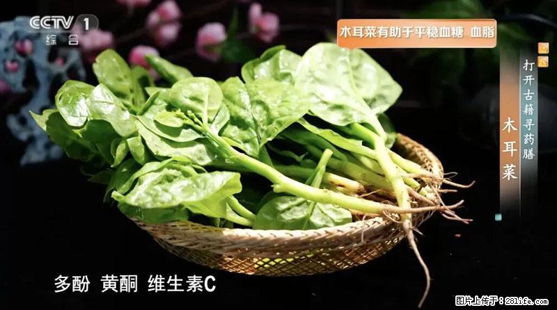 比牛奶补钙还厉害！凉血解毒、稳血糖...这菜冬天必吃，很多人却当草 - 温州生活资讯 - 温州28生活网 wz.28life.com
