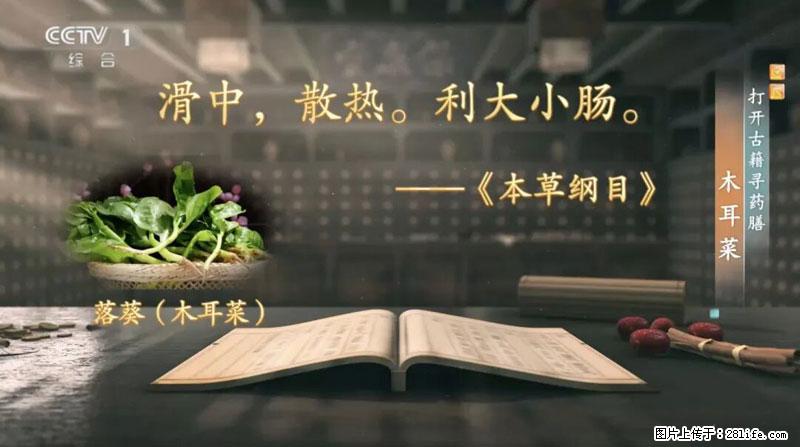 比牛奶补钙还厉害！凉血解毒、稳血糖...这菜冬天必吃，很多人却当草 - 温州生活资讯 - 温州28生活网 wz.28life.com