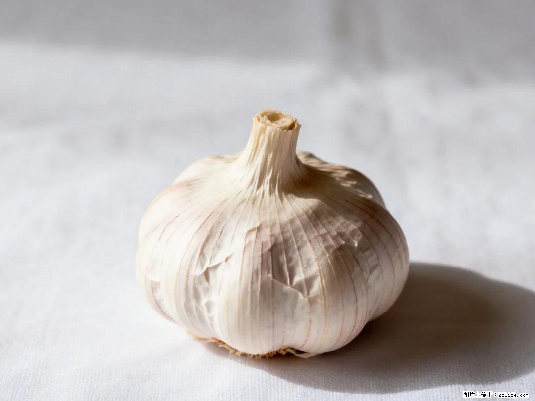 关于大蒜，除了“天然抗生素”，这4个谣言更该警惕! - 温州生活资讯 - 温州28生活网 wz.28life.com