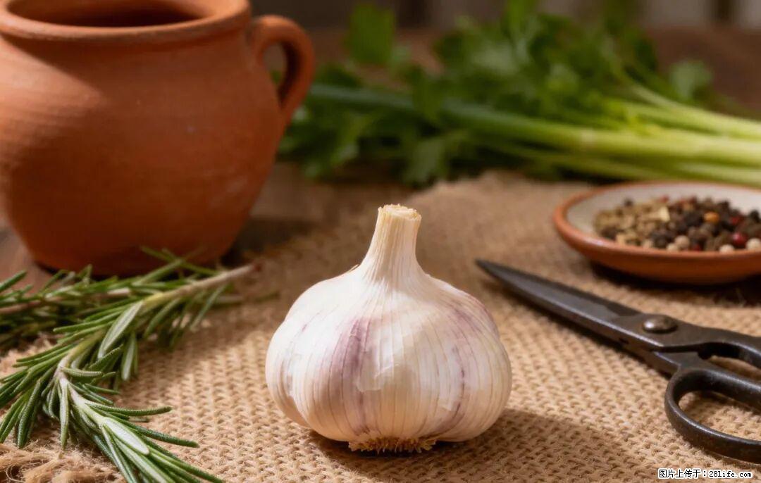 关于大蒜，除了“天然抗生素”，这4个谣言更该警惕! - 温州生活资讯 - 温州28生活网 wz.28life.com