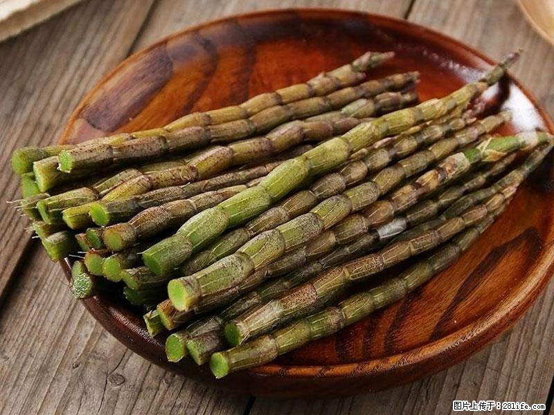 铁皮石斛的作用与功能主治 - 温州生活资讯 - 温州28生活网 wz.28life.com