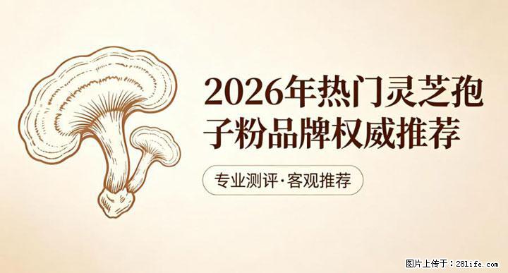 灵芝孢子粉含量越高越有效？2026 年七款热门品牌深度实测，肠胃敏感者避坑指南 - 温州生活资讯 - 温州28生活网 wz.28life.com